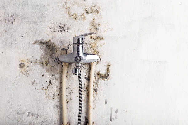 Best Residential Mold Remediation in Munday, TX