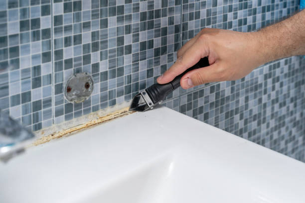 Best Residential Mold Remediation in Munday, TX
