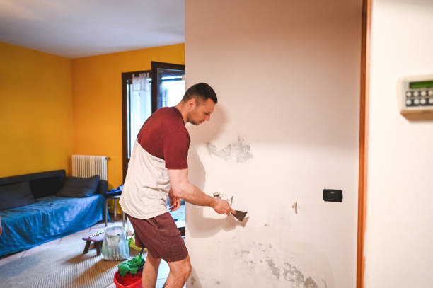 Best Insurance-Related Mold Remediation in Munday, TX